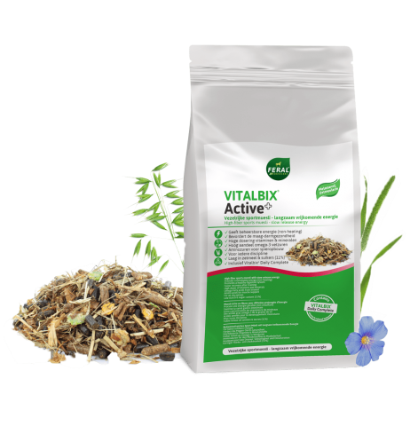Vitalbix Active + 14 kg