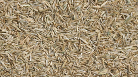 Enkelvoudig Gras zaad 5 kg